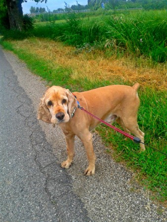 Denko na prechádzke :)